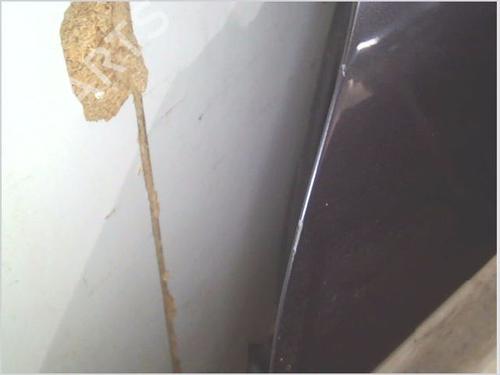 Left front door BMW 3 (E90) 330 d | BP30353060C2