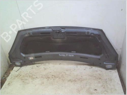 Hood PEUGEOT 1007 (KM_) 1.6 16V | BP29490752C1 
