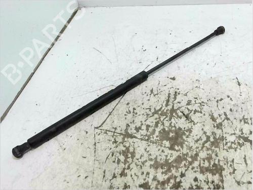 Motorhaubendämpfer für CITROËN C5 I Break (DE_) 2.2 HDi (DE4HXB, DE4HXE) (133 hp) 30765625