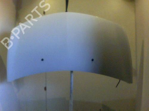 Used Hood RENAULT CLIO III (BR0/1, CR0/1) 1.5 dCi (88 hp) 26082441