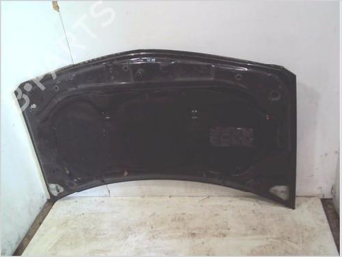 Cofano anteriore RENAULT MEGANE II (BM0/1_, CM0/1_) 1.9 dCi | BP26201174C1 