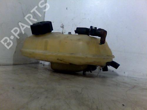 Used Expansion tank FIAT SCUDO Van (220_) 2.0 JTD (109 hp) 30320744