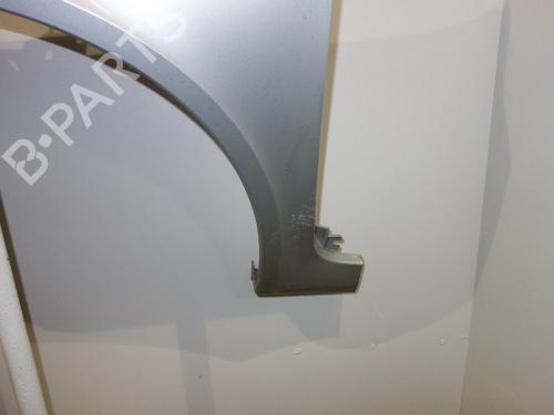 Left front fenders RENAULT LAGUNA II (BG0/1_) 1.9 dCi (BG08, BG0G) | BP26065404C41 