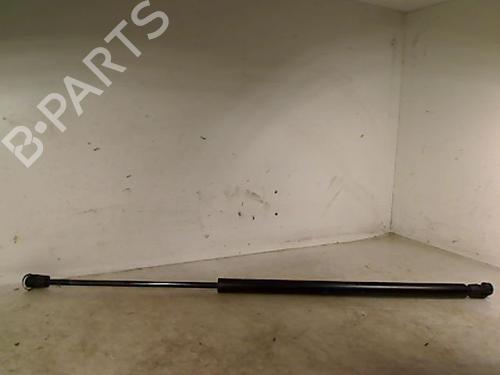 Used Tailgate lift support Tailgate lift support RENAULT SCÉNIC I MPV (JA0/1_, FA0_) 1.9 dCi (JA05, JA1F) (102 hp) 34210704 34210704