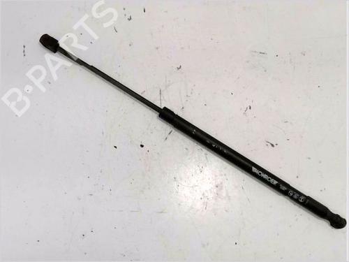 Used Tailgate lift support RENAULT SCÉNIC II (JM0/1_) 1.5 dCi (JM1E, JM16) (106 hp) 26119555