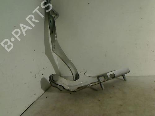 Used Hinge/Door check strap CITROËN C2 (JM_) 1.4 HDi (68 hp) 26095730