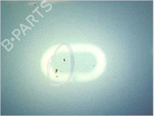 Hood CITROËN C3 I (FC_, FN_) 1.6 16V HDi | BP26119501C1 