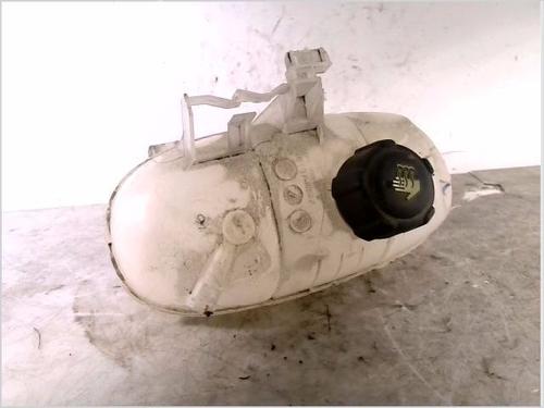Used Expansion tank RENAULT TRAFIC III Van (FG_) 1.6 dCi 95 (FGMJ, FGMR) (95 hp) 26106994