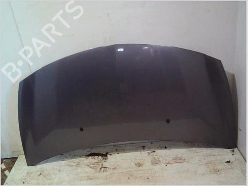 Used Hood RENAULT CLIO III (BR0/1, CR0/1) 1.2 16V (BR02, BR0J, BR11, CR02, CR0J, CR11) (75 hp) 26113544
