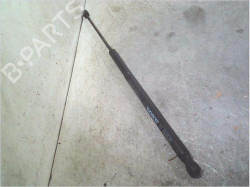 Used Tailgate lift support Tailgate lift support RENAULT SCÉNIC I MPV (JA0/1_, FA0_) 1.9 dCi (JA05, JA1F) (102 hp) 36071205 36071205