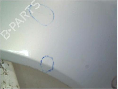 Aleta delantera izquierda RENAULT TWINGO I (C06_) 1.2 16V (C06C, C06D, C06K) | BP29815526C41