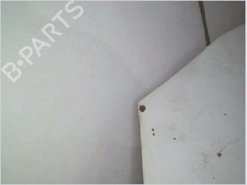 Hood IVECO DAILY IV Van 35C12 V, 35C12 V/P, 35S12 V, 35S12 V/P | BP29884226C1