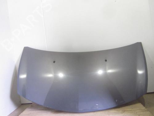 Used Hood RENAULT CLIO III (BR0/1, CR0/1) 1.5 dCi (BR17, CR17) (86 hp) 26067240
