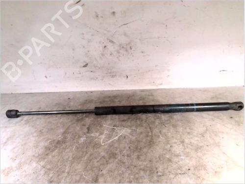 Used Tailgate lift support RENAULT SCÉNIC II (JM0/1_) 1.9 dCi (JM0G, JM12, JM1G, JM2C) (120 hp) 26105892