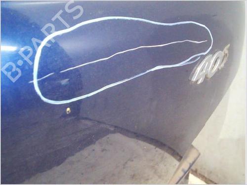 Tailgate PEUGEOT 406 Break (8E/F) 2.1 TD 12V | BP29560436C6 