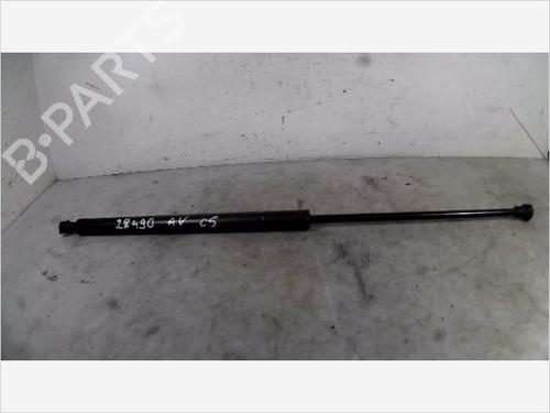 Used Hood lift support Hood lift support CITROËN C5 I (DC_) 2.0 HDi (DCRHZB, DCRHZE) (109 hp) 36537467 36537467