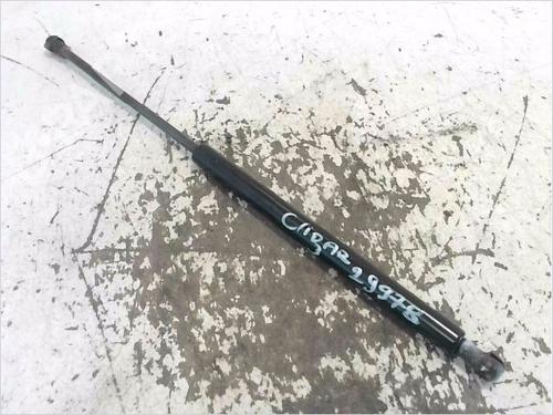 tailgate-lift-support-renault-clio-iii-br01-cr01-2005-2006-2007-2008-2009-2010-2011-2012-2013-2014-32022724 main image