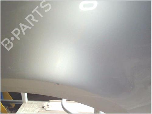 Left front fenders RENAULT CLIO III (BR0/1, CR0/1) 1.5 dCi | BP26116772C41 