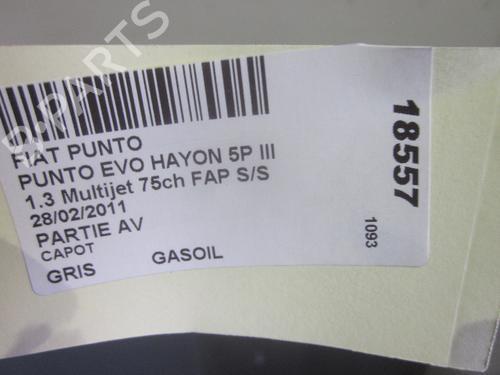 Hood FIAT PUNTO EVO (199_) 1.3 D Multijet (199AXC1A, 199BXC1A, 199AXT1A, 199BXT1A) | BP26070775C1 