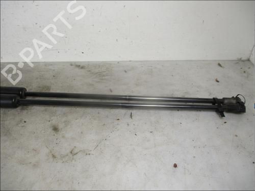 Tailgate lift support CITROËN C4 I (LC_) 1.6 HDi | BP26094755C138 