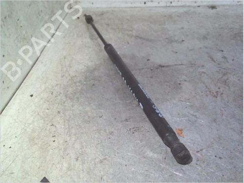 Used Tailgate lift support Tailgate lift support RENAULT SCÉNIC II (JM0/1_) 1.6 (JM0C, JM0J, JM1B) (113 hp) 40127839 40127839