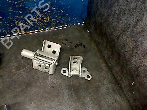 Hinge/Door check strap RENAULT CLIO III (BR0/1, CR0/1) 1.5 dCi (BR17, CR17) | BP29306789C146 