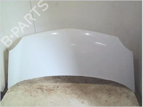 Used Hood RENAULT KANGOO Express (FW0/1_) 1.5 dCi 90 (FW0G, FW05, FW08, FW11) (90 hp) 26119094
