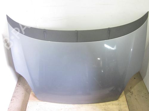 Hood FIAT PUNTO EVO (199_) 1.3 D Multijet (199AXC1A, 199BXC1A, 199AXT1A, 199BXT1A) | BP26070775C1 