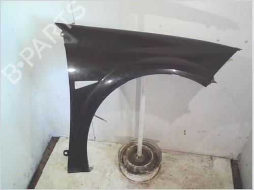 Used Right front fenders RENAULT MEGANE II (BM0/1_, CM0/1_) 1.9 dCi (131 hp) 26201203