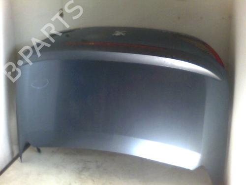 Used Tailgate PEUGEOT 307 CC (3B) 1.6 16V (110 hp) 26100176