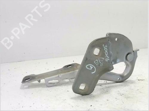 Hinge/Door check strap RENAULT CLIO III (BR0/1, CR0/1) 1.5 dCi (C/BR0G, C/BR1G) | BP27164150C146 