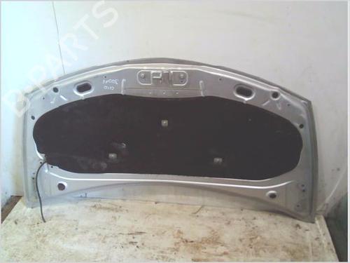 Hood RENAULT CLIO III (BR0/1, CR0/1) 1.5 dCi (C/BR0G, C/BR1G) | BP26725115C1 