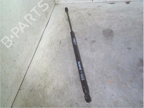 Used Tailgate lift support Tailgate lift support RENAULT SCÉNIC I MPV (JA0/1_, FA0_) 1.9 dCi (JA05, JA1F) (102 hp) 36071204 36071204