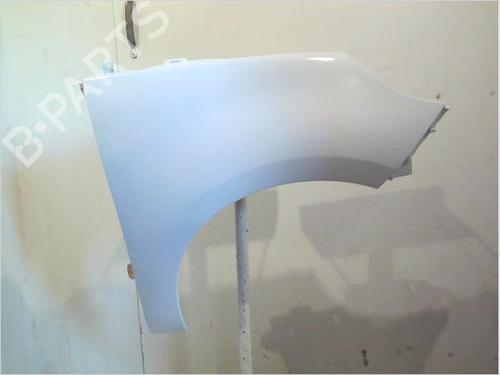 Used Right front fenders RENAULT SCÉNIC III (JZ0/1_) 1.9 dCi (JZ0J, JZ1J, JZ1K, JZ1S) (131 hp) 26119838