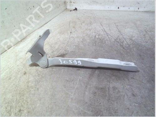Used Hinge/Door check strap Hinge/Door check strap CITROËN C3 II (SC_) 1.4 HDi 70 (SC8HZC, SC8HR0, SC8HP4) (68 hp) 33432814 33432814