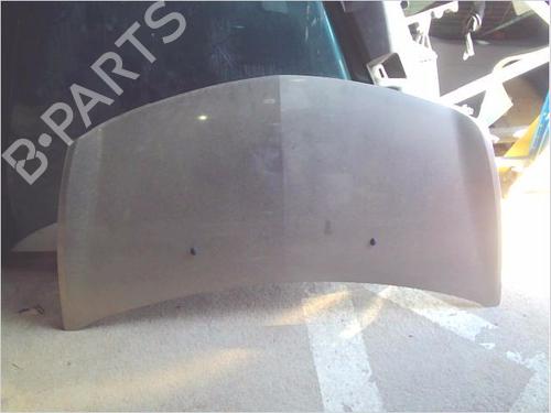 Used Hood Hood RENAULT CLIO III (BR0/1, CR0/1) 1.2 16V (BR0P, CR0P) (101 hp) 34039196 34039196