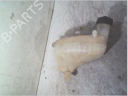 Expansion tank RENAULT TWINGO II (CN0_) 1.2 16V (CN0K, CN0V, CN0A) | BP30876554C120
