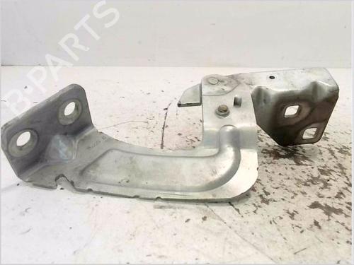 Hinge/Door check strap RENAULT KANGOO (KC0/1_) 1.5 dCi (KC08, KC09) | BP30005506C146