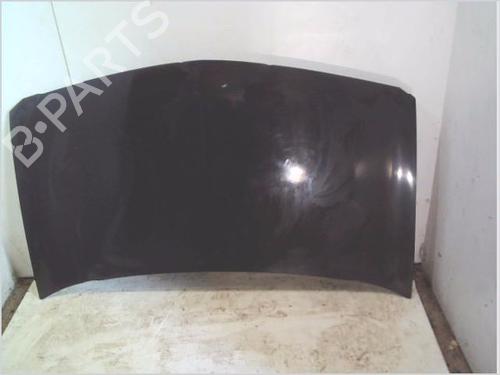 Used Hood RENAULT MEGANE II (BM0/1_, CM0/1_) 1.9 dCi (131 hp) 26201174