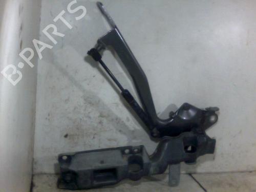 Used Hinge/Door check strap RENAULT SCÉNIC III (JZ0/1_) 1.9 dCi (JZ0J, JZ1J, JZ1K, JZ1S) (131 hp) 26095187