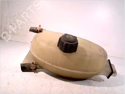 Used Expansion tank RENAULT TRAFIC II Van (FL) 1.9 dCi 80 (FL0B) (82 hp) 29062740