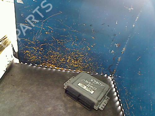 Calculateur moteur (ecu) RENAULT CLIO II (BB_, CB_) 1.4 16V (B/CB0P, BB13) (98 hp) 31993451
