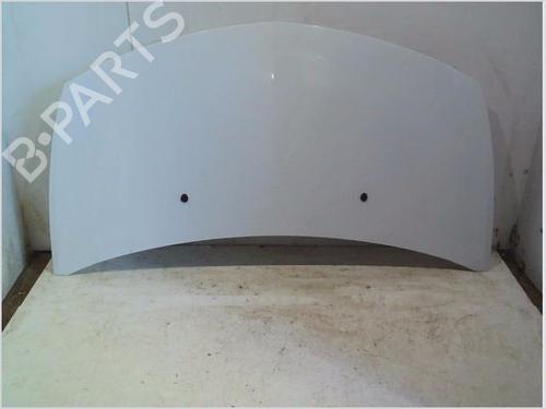 Used Hood RENAULT CLIO III (BR0/1, CR0/1) 1.5 dCi (C/BR0G, C/BR1G) (68 hp) 26115820