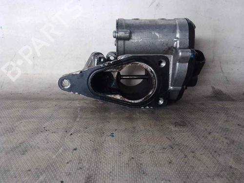 Egr RENAULT MEGANE II (BM0/1_, CM0/1_)  | BP26481698M69 