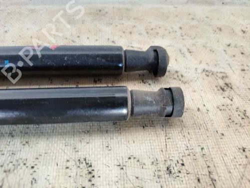 Gassdemper Bakluke DACIA DUSTER (HM_)  | BP29825134C138