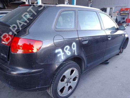 Pompe à carburant AUDI A3 (8P1) 1.9 TDI (105 hp) 28464804
