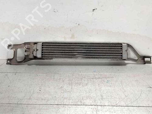 Used Intercooler Intercooler MERCEDES-BENZ B-CLASS Sports Tourer (W245) [2005-2011] 34164050 34164050