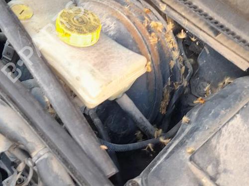 Used Servo brake Servo brake AUDI A4 B6 (8E2) 1.9 TDI (130 hp) 34155001 34155001