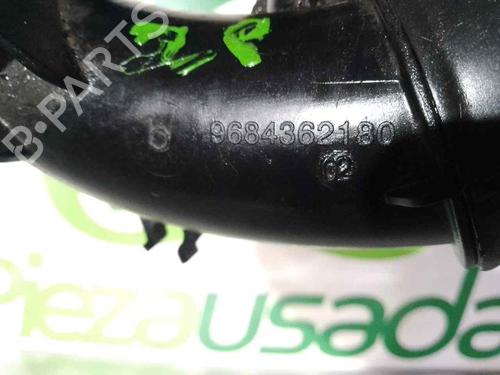 Pipe CITROËN C3 Picasso (SH_) | BP31267394M125