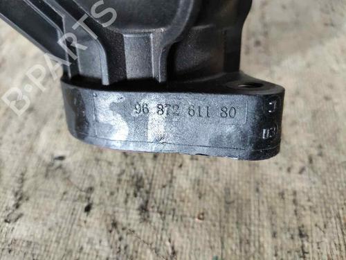 Pipe PEUGEOT PARTNER Box Body/MPV  | BP29916748M125 